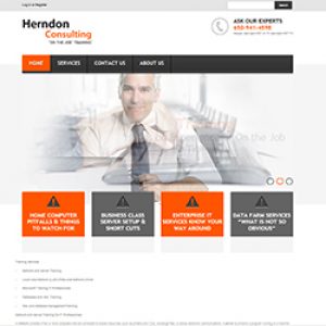 Herndon Consulting Portfolio image