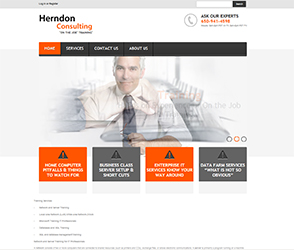 Herndon Consulting Portfolio image