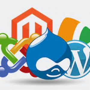 CMS Sites