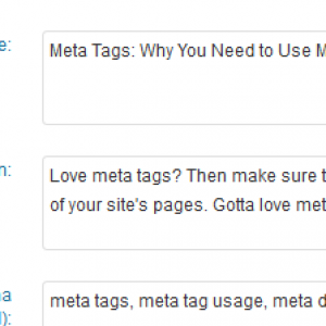 Meta Tags