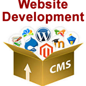 Website Development